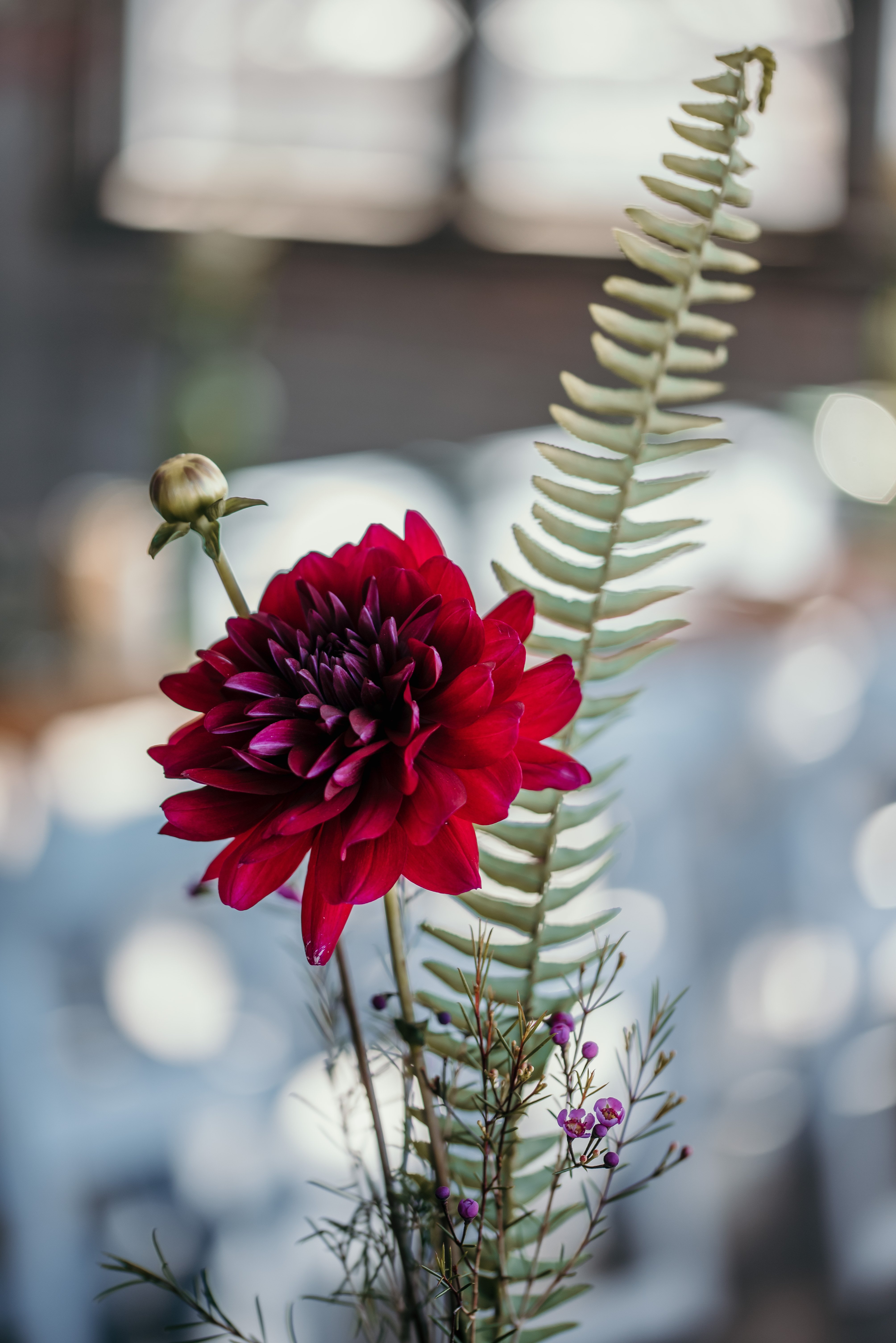 Pretty Flowers